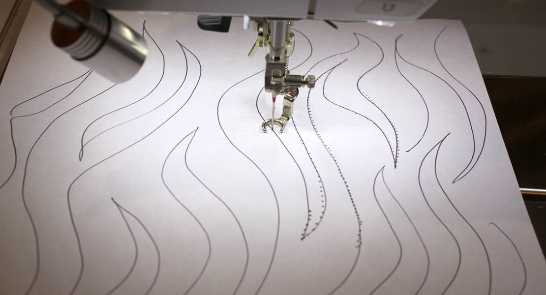 Free Motion Quilting Technique with Frieda Anderson